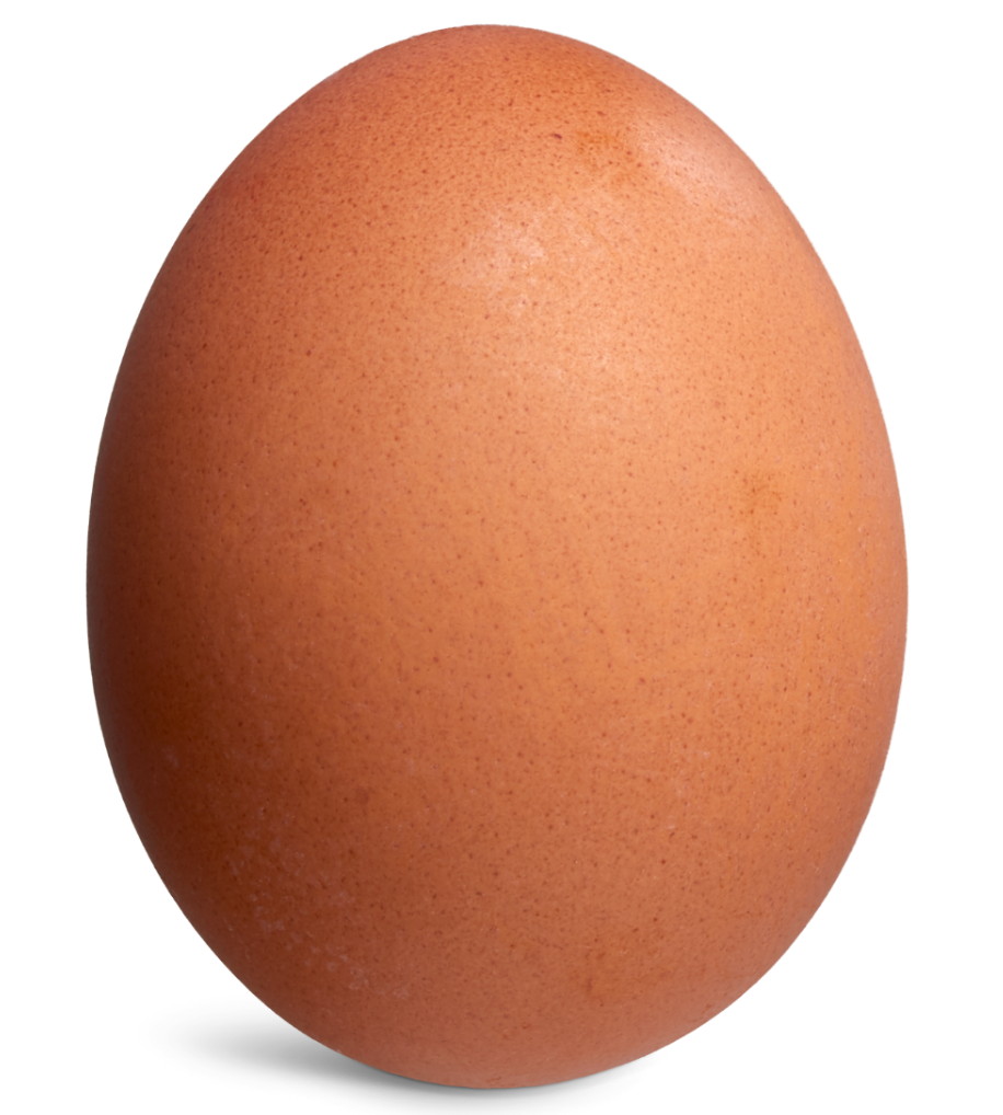 ingredient-egg